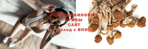 прущие крисы Алексеевка