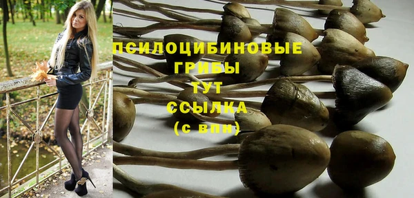 прущие крисы Алексеевка