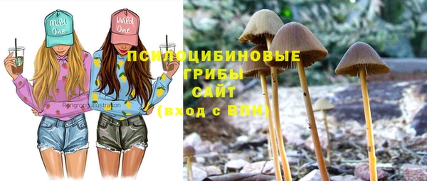прущие крисы Алзамай