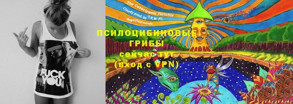 прущие крисы Алзамай